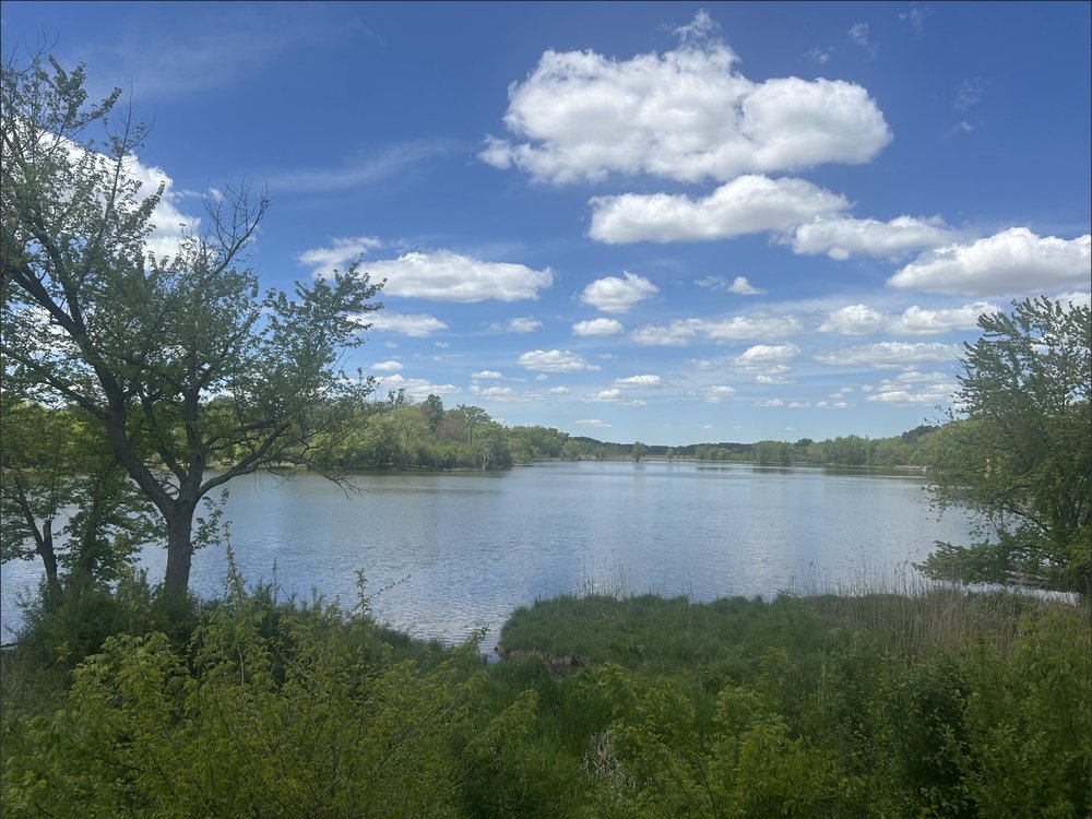 Lake and treeline at Willow Mill