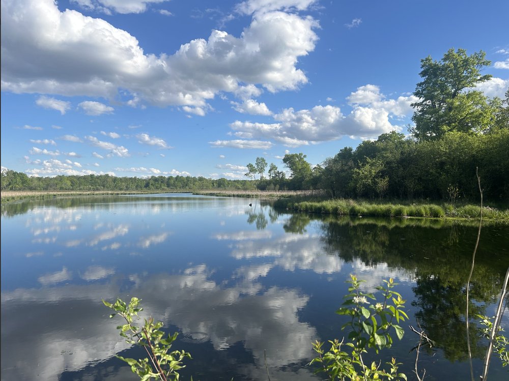 Marsh reflections near Willow Mill