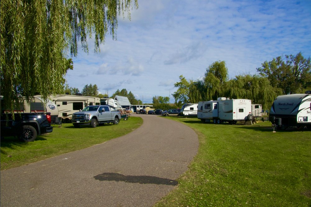 RV row under the willow trees